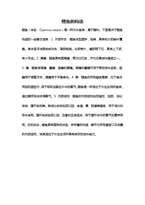 鲤鱼的构造