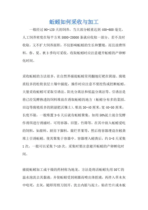 蚯蚓如何采收与加工