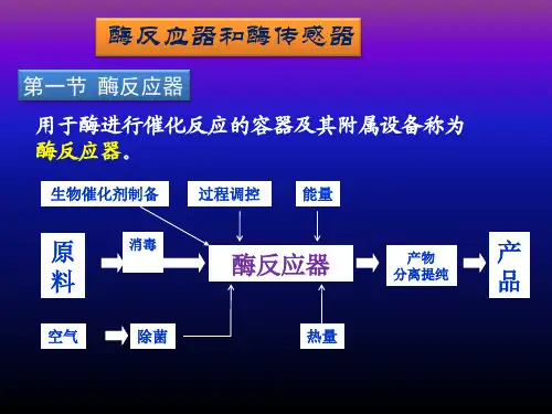 酶反应器和酶传感器 