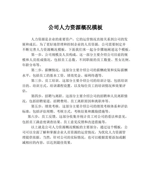 公司人力资源概况模板