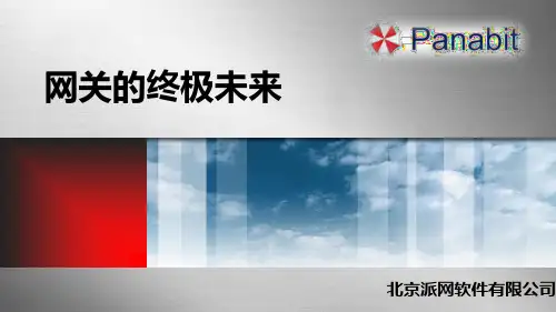 Panabit技术讲解_从头开始了解Panabit剖析