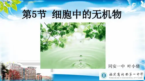 2.5细胞中的无机物(18张PPT)[优秀课件资料]