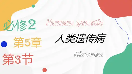 5.3人类遗传病(共19张PPT)生物人教版(2019)必修2.ppt