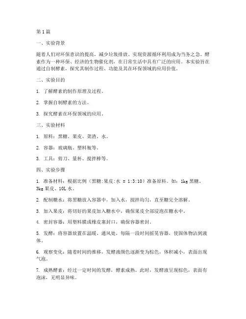制作酵素生物实验报告(3篇)