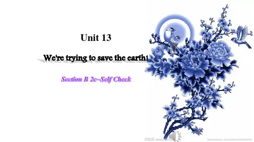 人教新目标九年级Unit13 SectionB(2c~Self Check`)(共21张PPT)