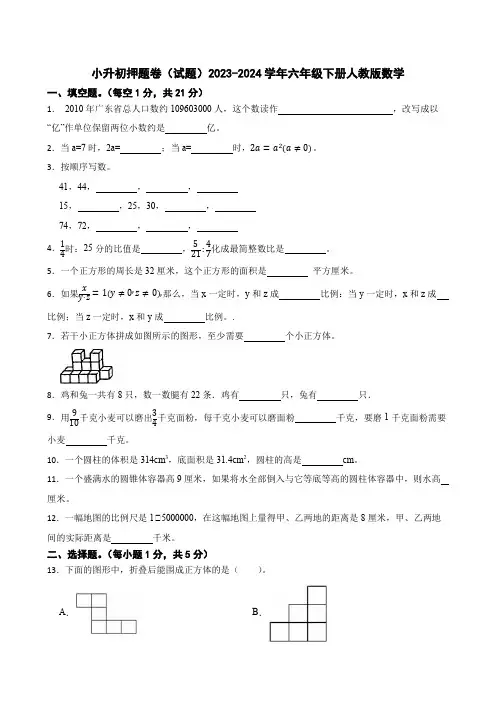 小升初押题卷(试题)2023-2024学年六年级下册数学人教版 