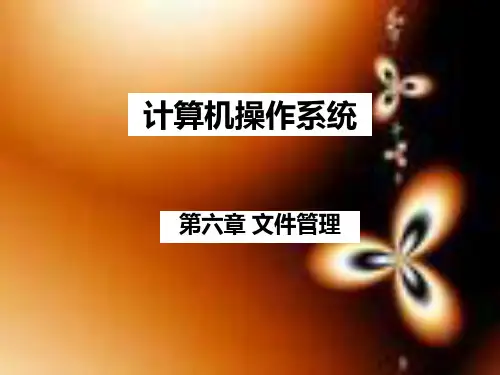 计算机操作系统考研辅导第六章PPT课件