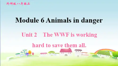 新外研版八年级英语上册Module 6  Unit 2 The WWF is 【习题课件】
