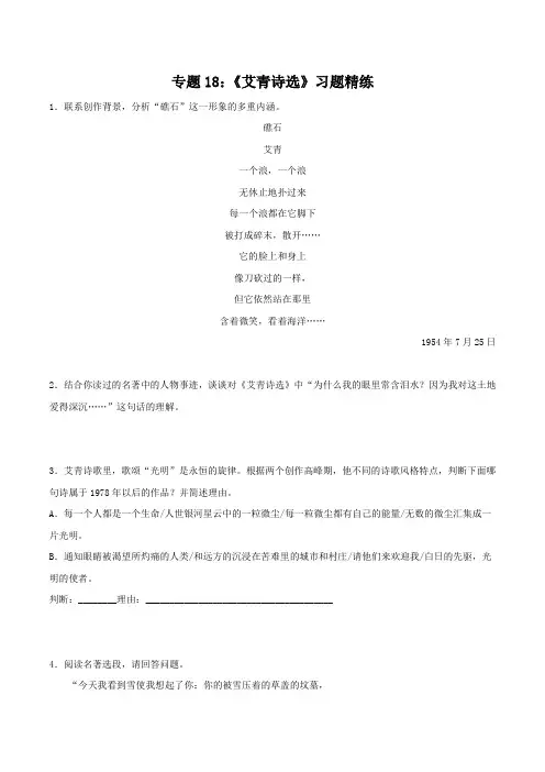 中考语文复习专题18《艾青诗选》习题精练(解析版)