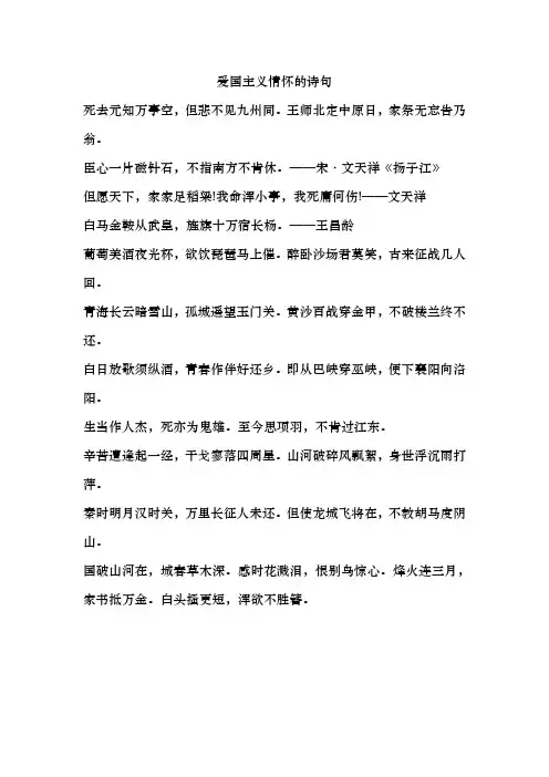爱国主义情怀的诗句