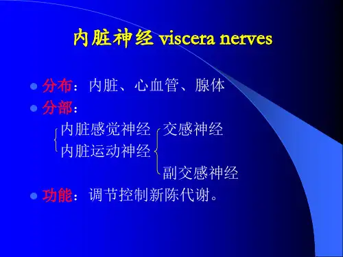 内脏神经 人体解剖学 系统解剖学