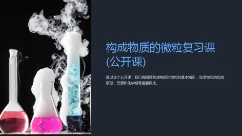构成物质的微粒复习课(公开课)