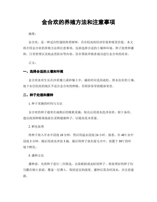 金合欢的养殖方法和注意事项