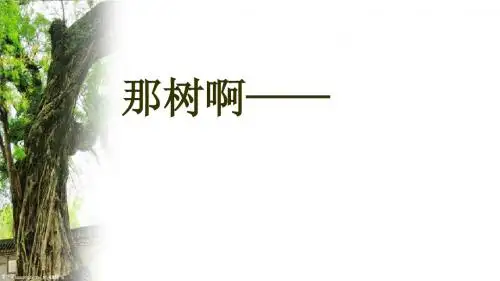 《那树》ppt课件(10页)2