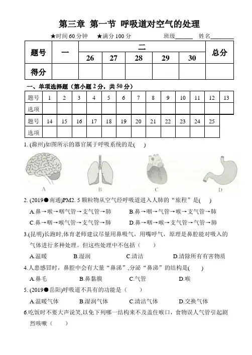 人教版七年级生物下册：  第四单元第三章  第一节 呼吸道对空气的处理  同步测试