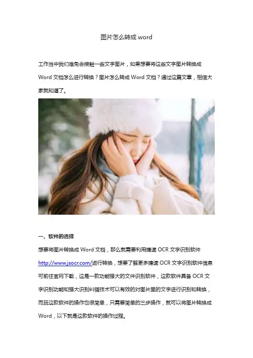 图片怎么转成word