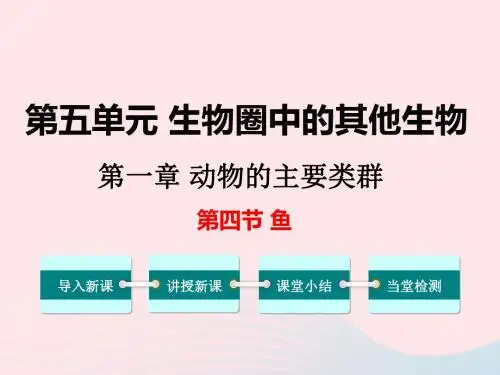 八年级生物上册第五单元第一章第四节鱼课件1(新版)新人教版