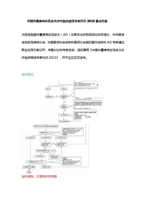 中国中重度特应性皮炎诊疗临床路径专家共识2023重点内容