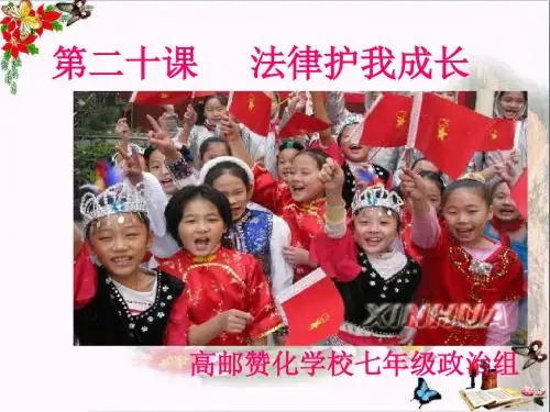 法律护我成长ppt优秀课件1 苏教版
