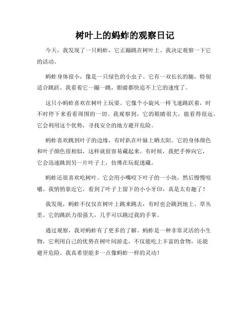 小学三年级作文树叶上的蚂蚱的观察日记