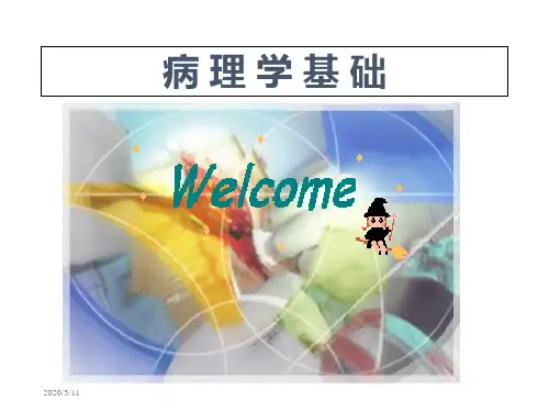 病理学第一章绪论与疾病概论课件修改版