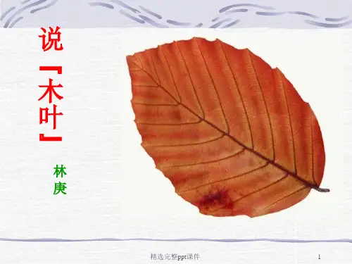 说木叶课件(实用)