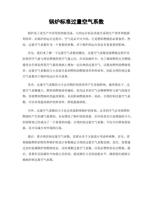 锅炉标准过量空气系数