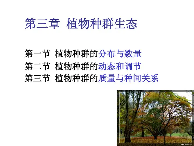 植物生态学——植物种群生态.