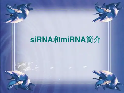 siRNA和miRNA简介