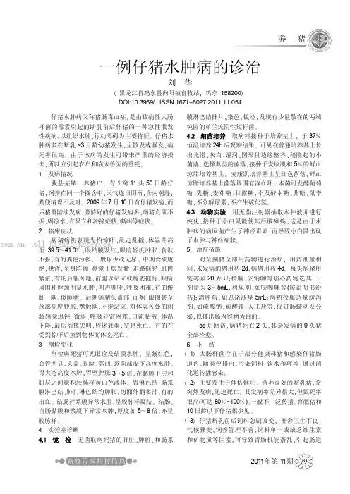 一例仔猪水肿病的诊治