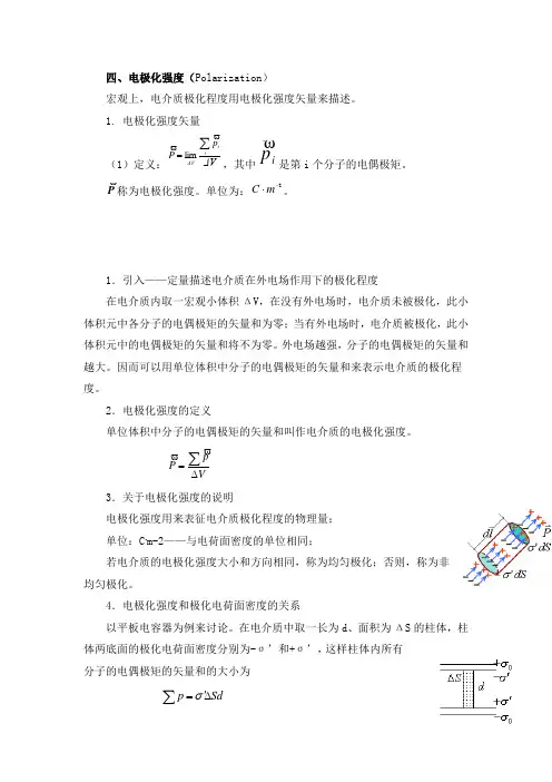 电极化强度(Polarization)