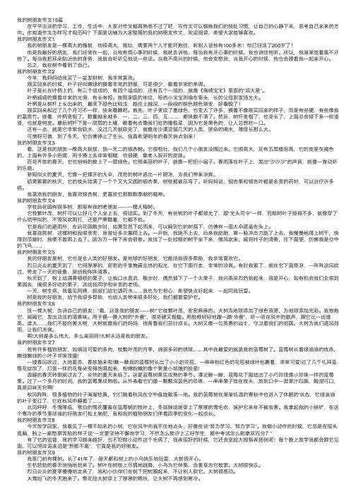 我的树朋友作文15篇