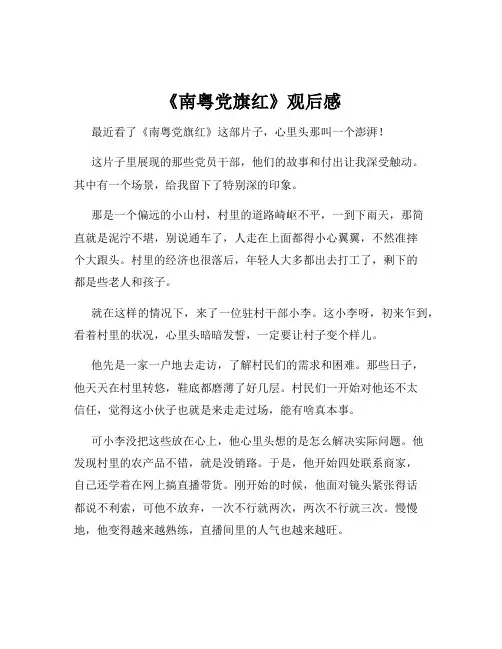 《南粤党旗红》观后感