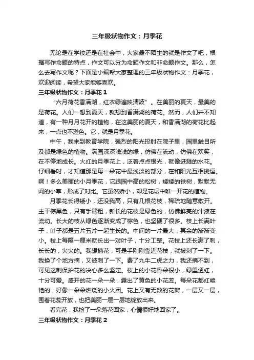 三年级状物作文：月季花