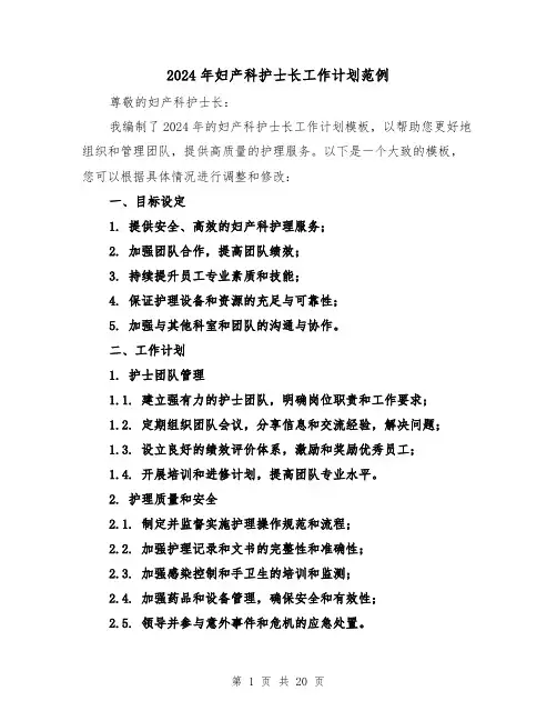 2024年妇产科护士长工作计划范例(六篇)