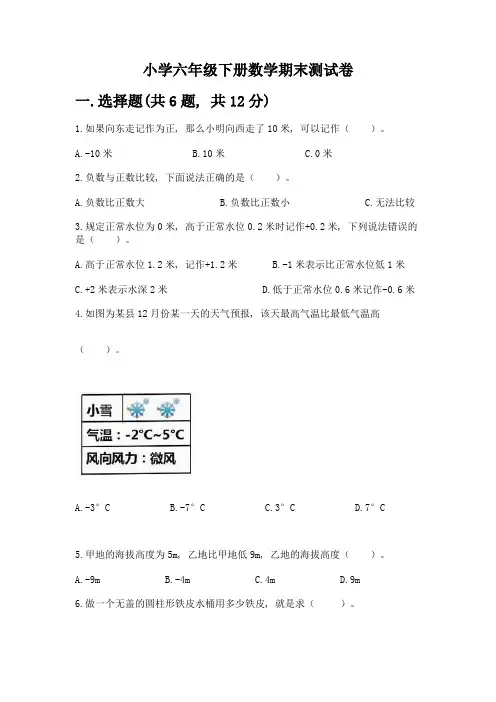 小学六年级下册数学期末测试卷及参考答案【综合卷】