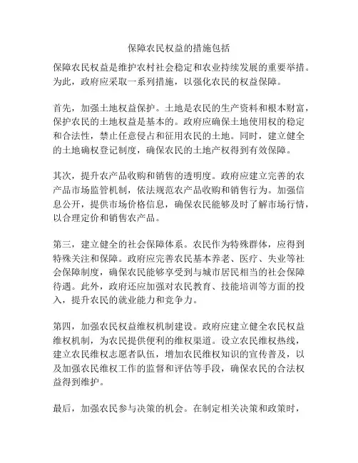 保障农民权益的措施包括