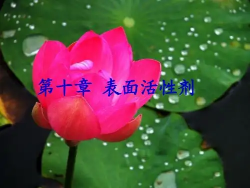 第十章 表面活性剂a