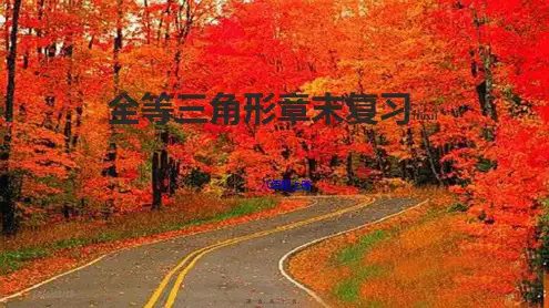 八年级数学上册 第1章 全等三角形章末复习课件