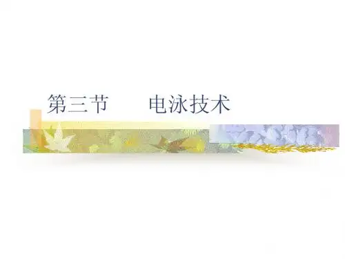 电泳技术