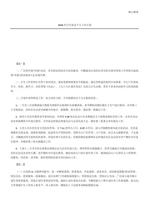 计生协会个人工作计划