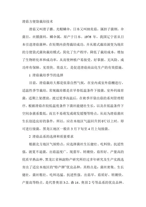滑菇方便袋栽培技术