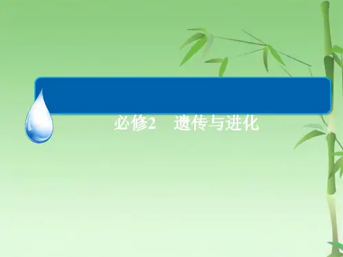高考生物第一轮知识点总复习课件(共73张PPT)