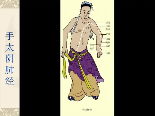 十四经脉图ppt课件