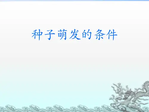(三下)科学优秀课件-2.2《种子萌发的条件》1 北京课改版PPT(12页)