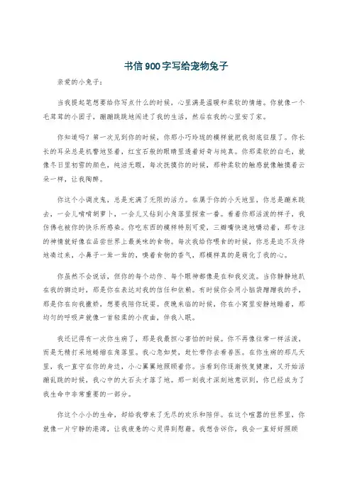 书信900字写给宠物兔子