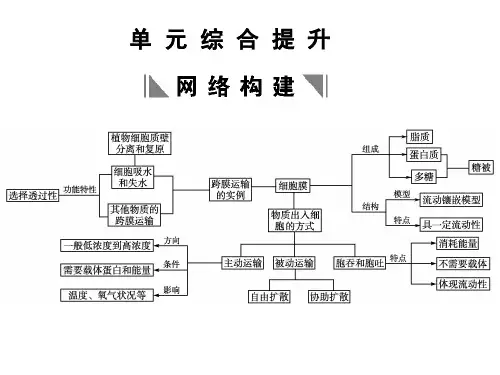 必修1-4单元综合提升