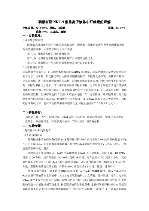 纤维素水解方案