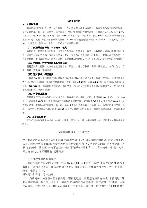 玉米育苗技术