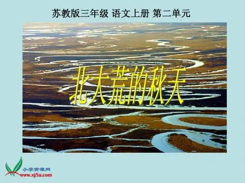 (苏教版)三年级语文上册课件_北大荒的秋天